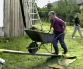 Гифки