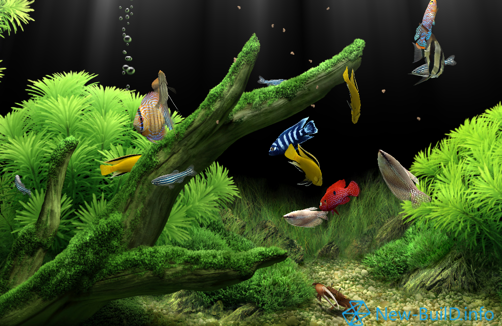 Dream Aquarium Screensaver 152 Full Keygen