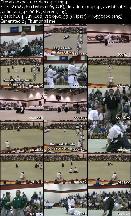 Aiki Expo 2002 Demostration Aiki Expo 2002 Demostration