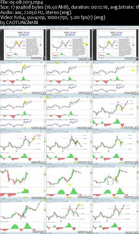 Frank paul forex