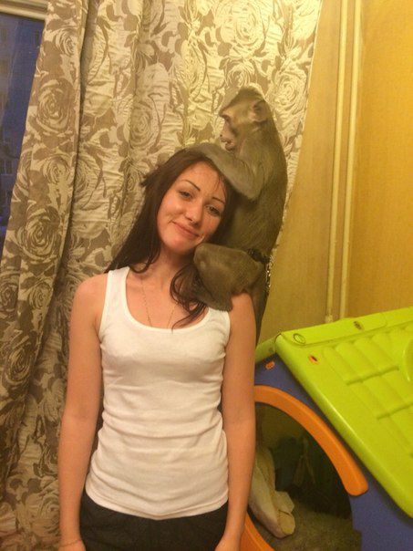 Эти забавные животные