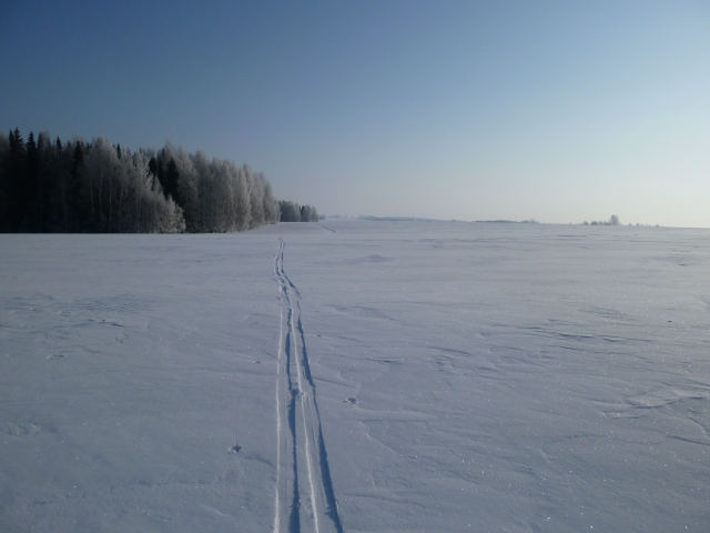 f41803cc651b87ceb6df5c6bc04cd192.jpg