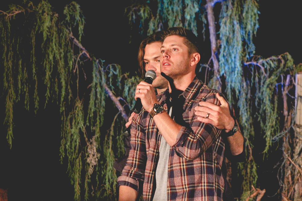 pascon 2015 267.jpg