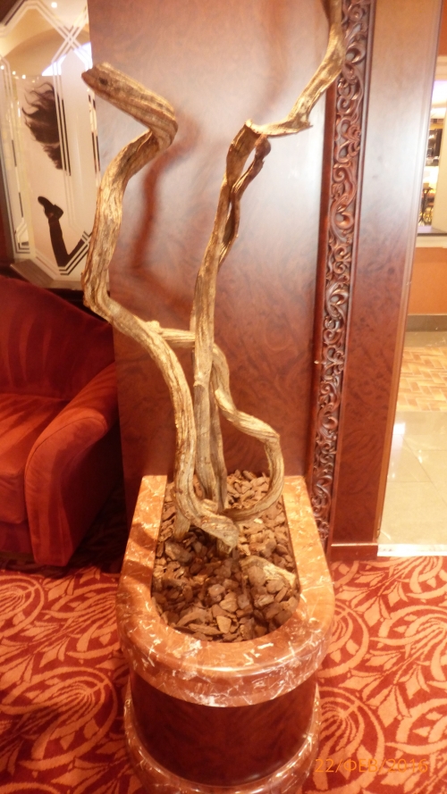 "Фантазия" в Средиземноморском круизе в феврале 2016 года