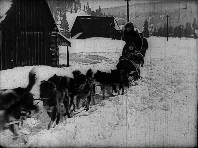 The Frozen North [1922]