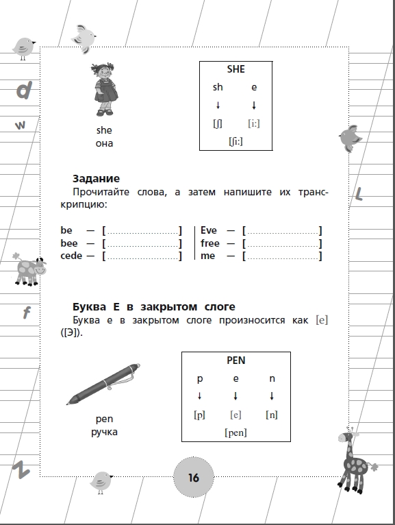 view systems