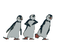 76bb75fde49dfb81a260e5868d60335b.gif