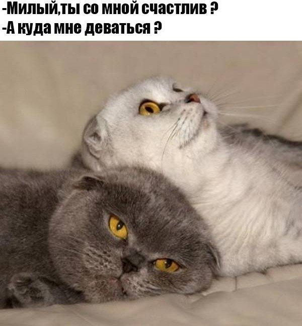 Сборка № 287 Сборка № 287