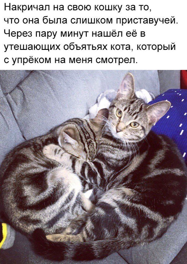Сборка № 287 Сборка № 287