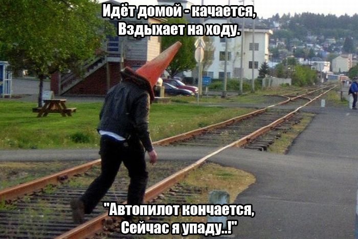 Сборка № 293 Сборка № 293