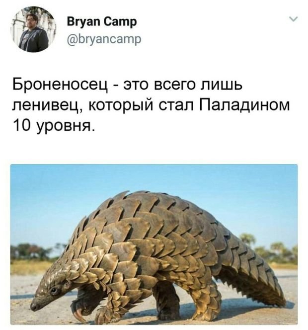 Сборка № 296 Сборка № 296
