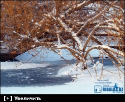 http://i6.imageban.ru/thumbs/2013.12.12/cccfd66c9cf2df43fc0d7f55864a1f2b.jpg
