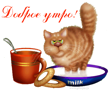 Котики с добрым утром