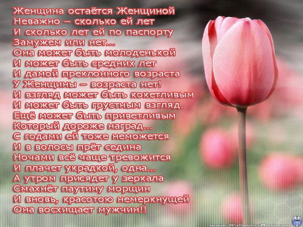 Flowers28_L0T3USM5.jpg