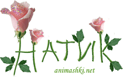 Натик.gif