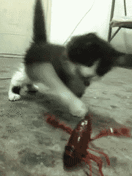1083652-20130624-quTDjn.gif