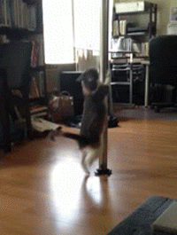 1083654-20130624-0YJ218.gif