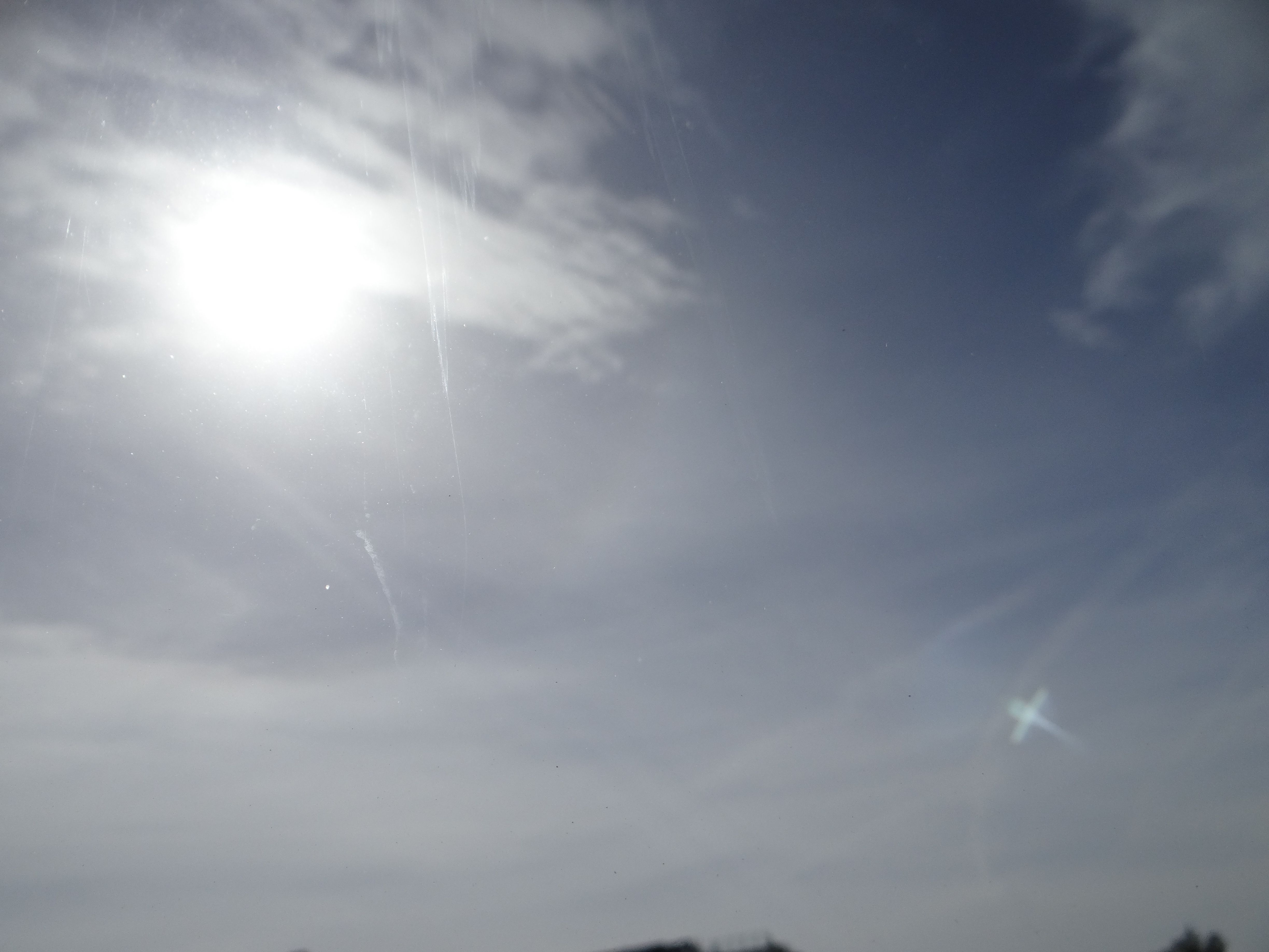 DSC05320.JPG