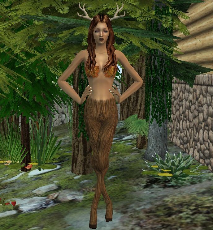 MTS_lilipad-1386086-Faline1.jpg