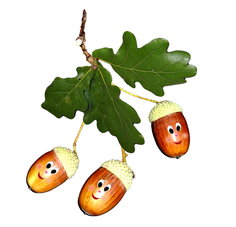 �������� ��������, ������ ������� ��������