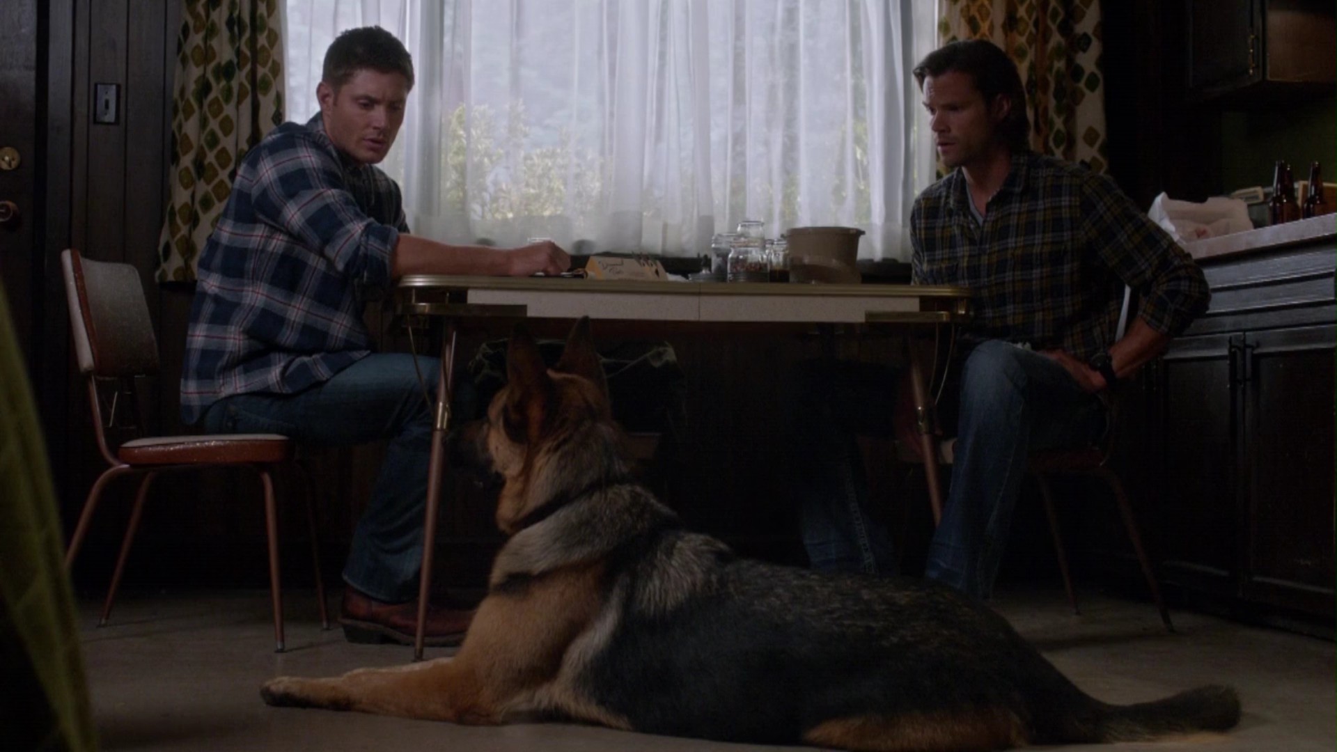 сверхъестественное где разговаривают с животными. сэм и дин винчестеры 2 сезон. сериал сверхъестественное сэм. дин винчестер 5 сезон. дженсен эклз 2003.