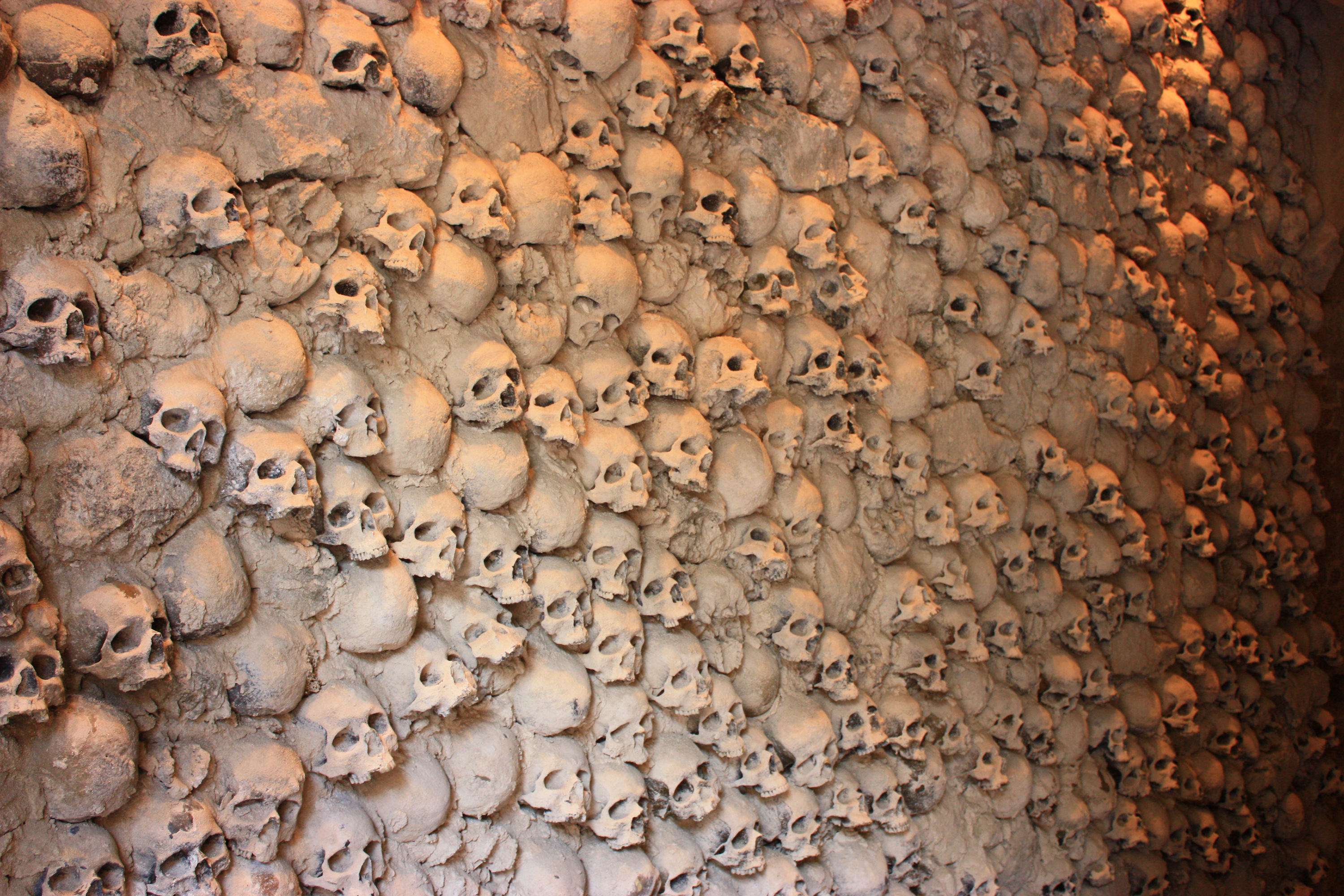 bones___004_skull_wall_by_thalija_stock-d5gukwc.jpg