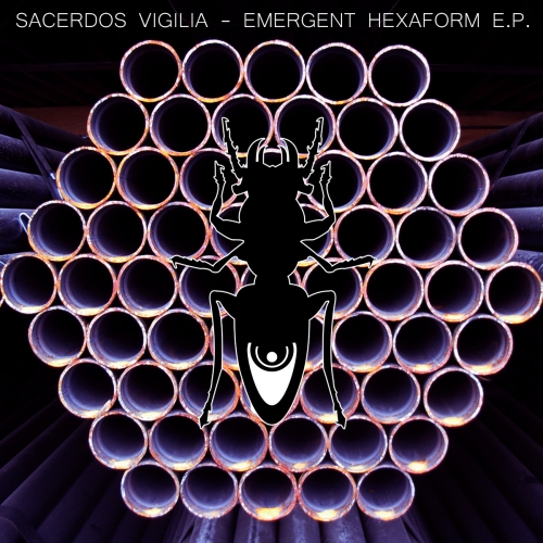 00_sacerdos_vigilia_-_emergent_hexaform_ep-(meta4_r)-web-2014.jpg