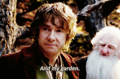 tumblr_nhr4izoqFd1r0t68go2_250.gif