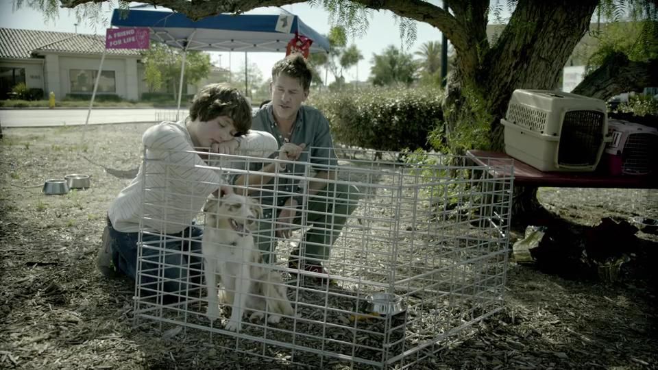 Собака Бандит_трейлер[18-23-01].JPG