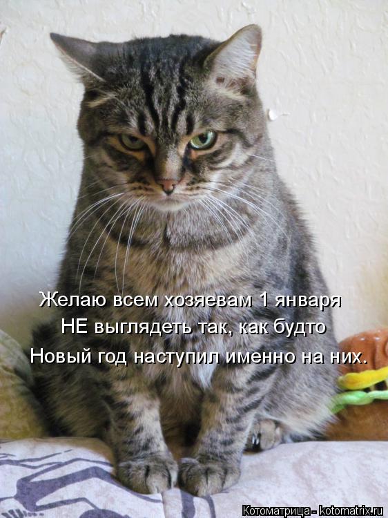 https://i6.imageban.ru/out/2015/11/18/bc66b236153ac8a949788e8b2d049889.jpg