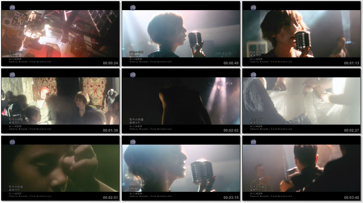 20151126.01.04 Kou Shibasaki - Yasei no Doumei (PV) (SSTV HDTV) (JPOP.ru).ts_thumbs_[2015.11.26_18.21.19].jpg