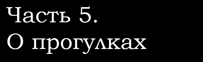 Спойлер