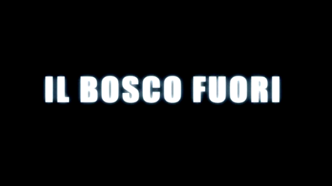 Il.bosco.fuori.2006.dvdrip_[745]_[teko][(011240)10-12-15].PNG