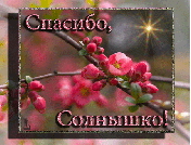 720032712.gif