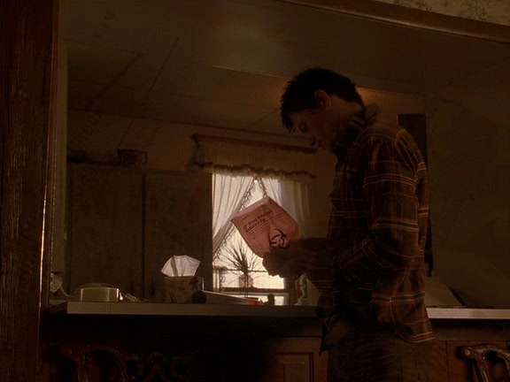 Larva.2005.dvdrip_[745]_[teko][(020715)09-38-05].PNG