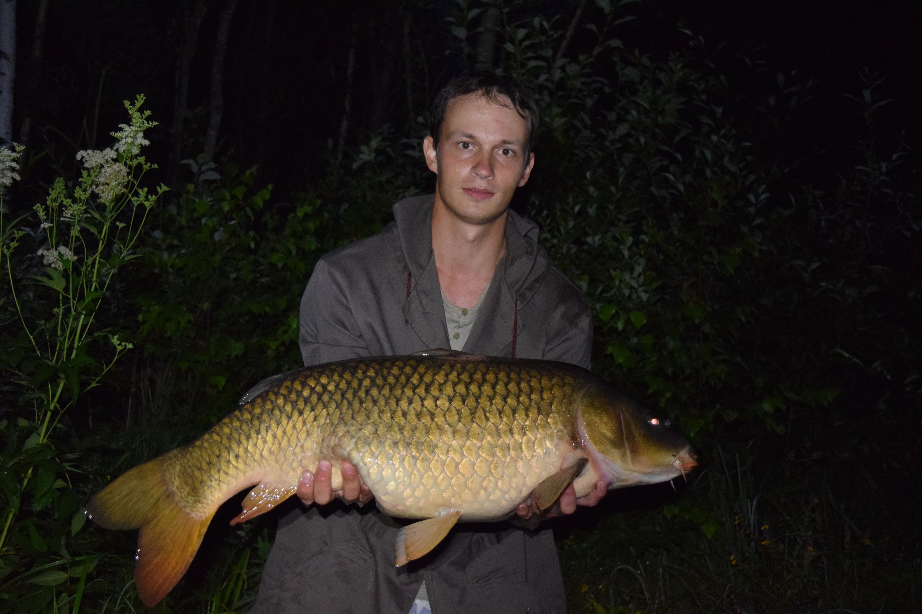 Клюет ли карп ночью. Ночная рыбалка на сазана. Ловля карпа. Ночная рыбалка на сазана. Клюет ли карп ночью.