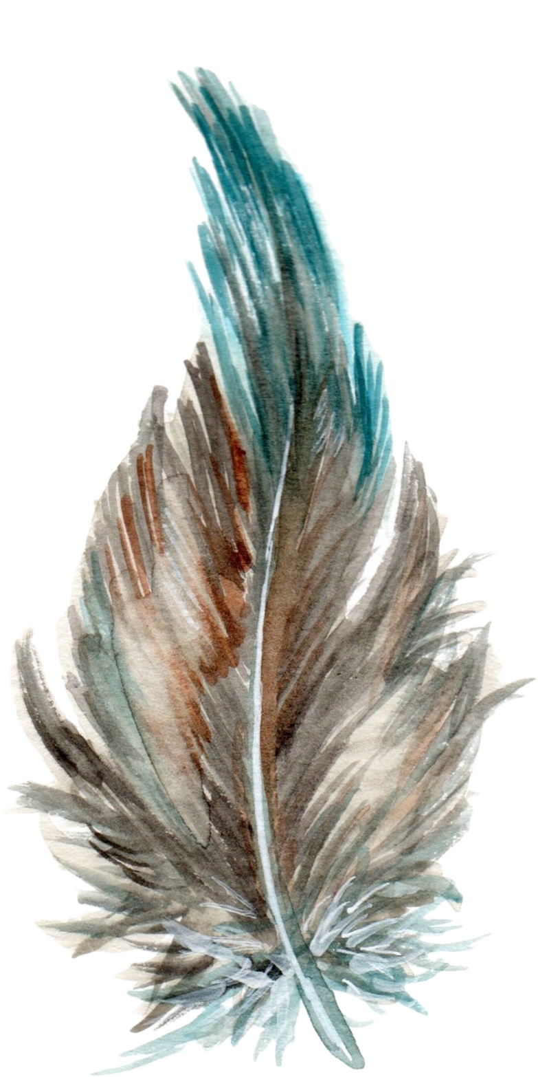 Feathers-12.png