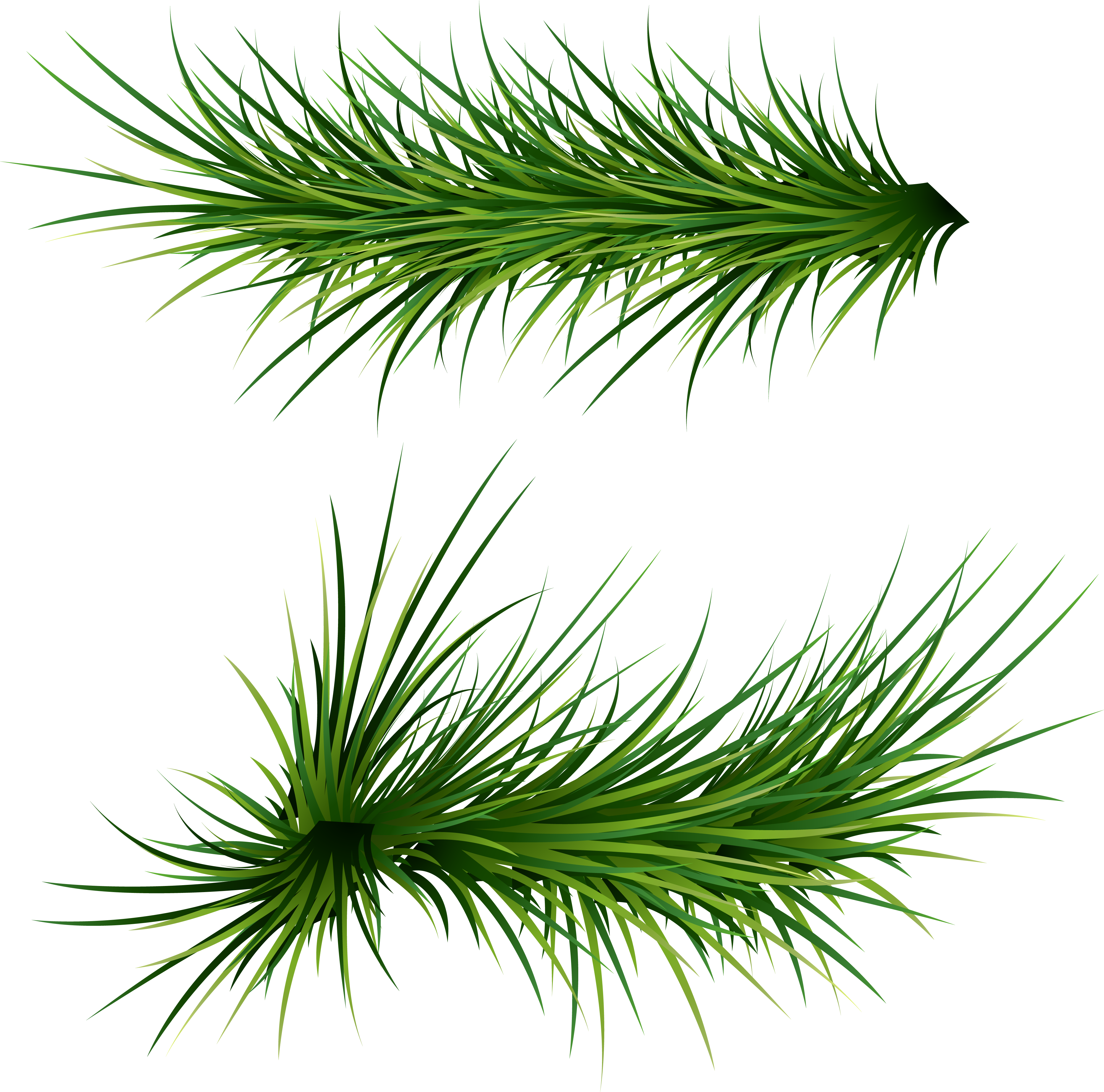 SviDen.RU_NYPNG_tree (30).png