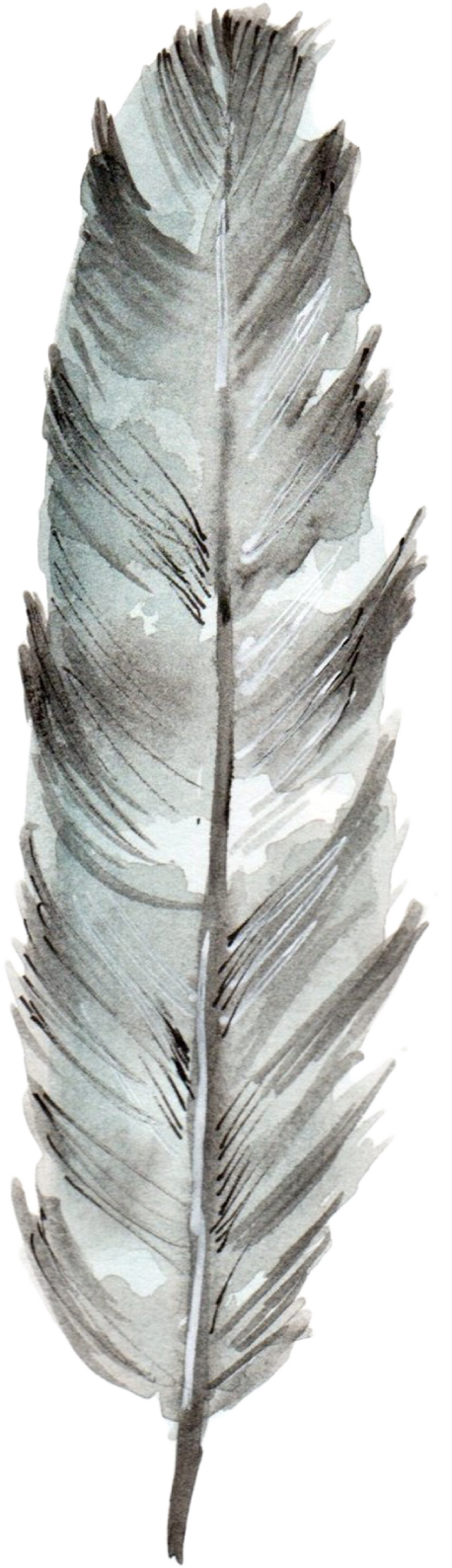 Feathers-05.png