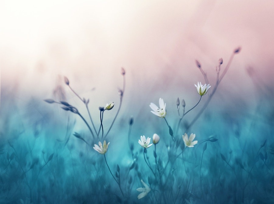 tumblr_oiepam2Jz71rd8524o1_1280.jpg