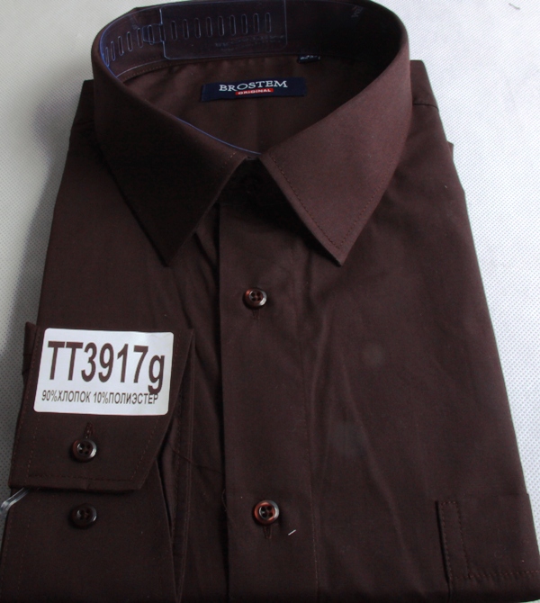 TT3917g.JPG