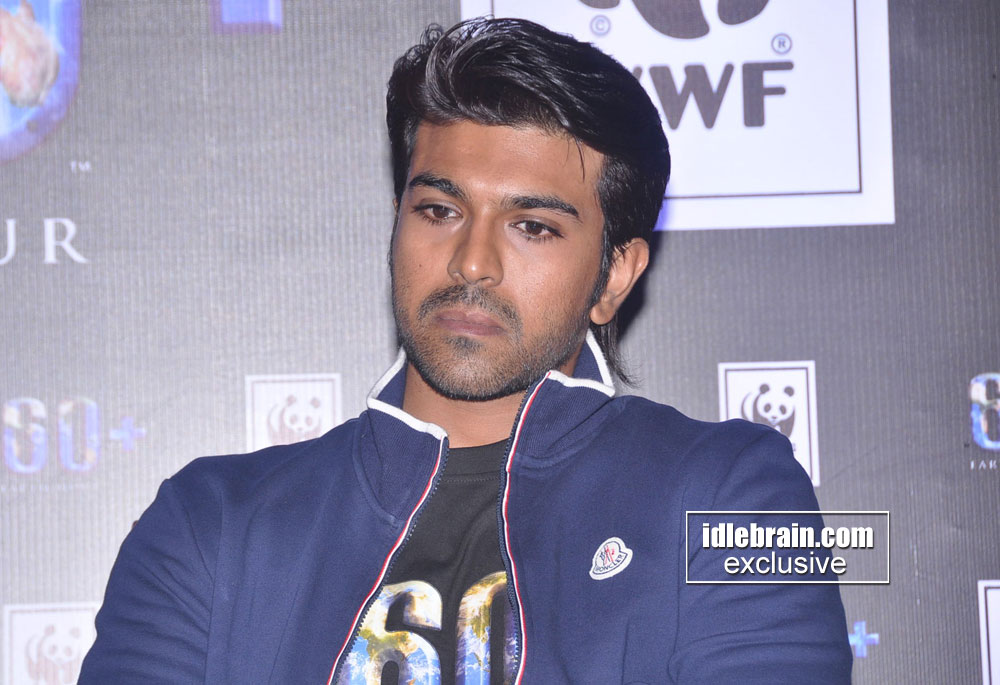 pressmeet-60+earthhour10.jpg
