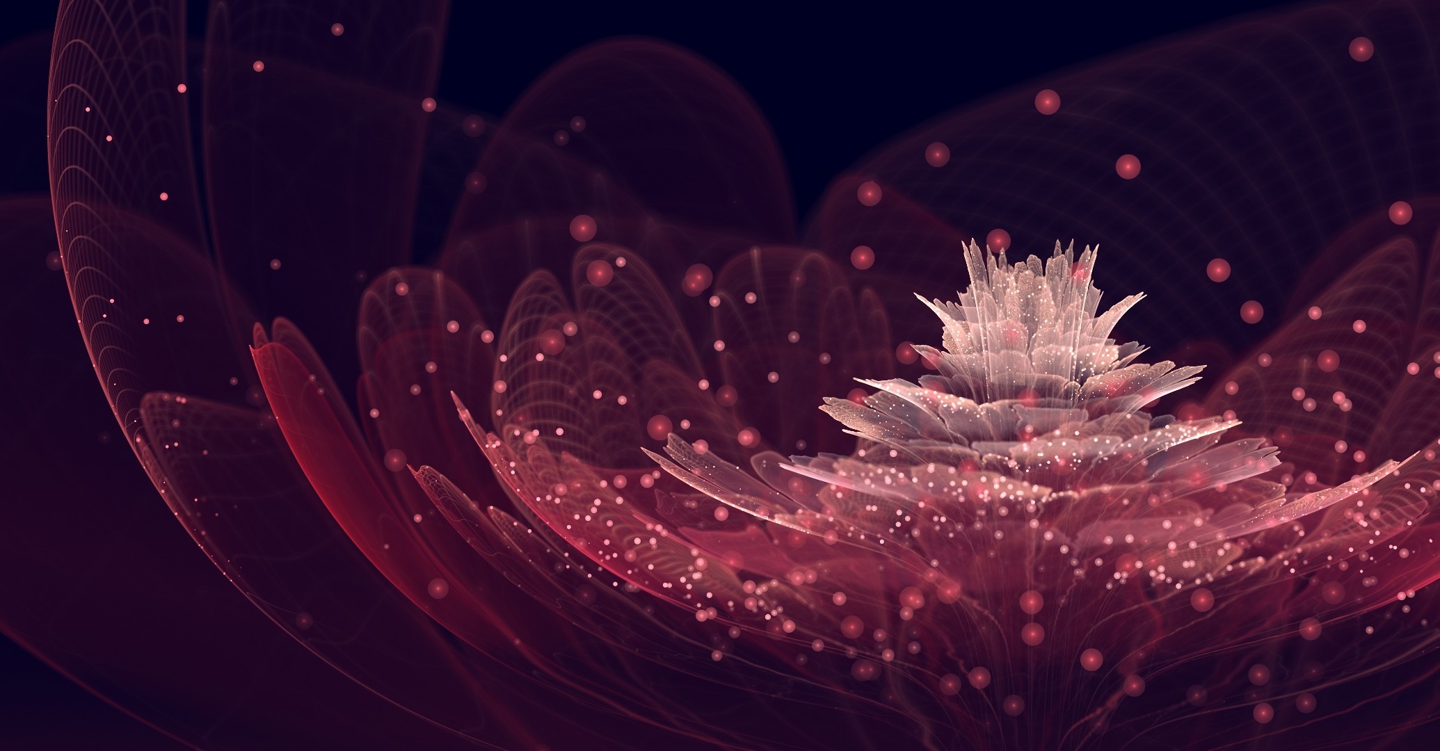 neon-flowers-images-2070x1080.jpg