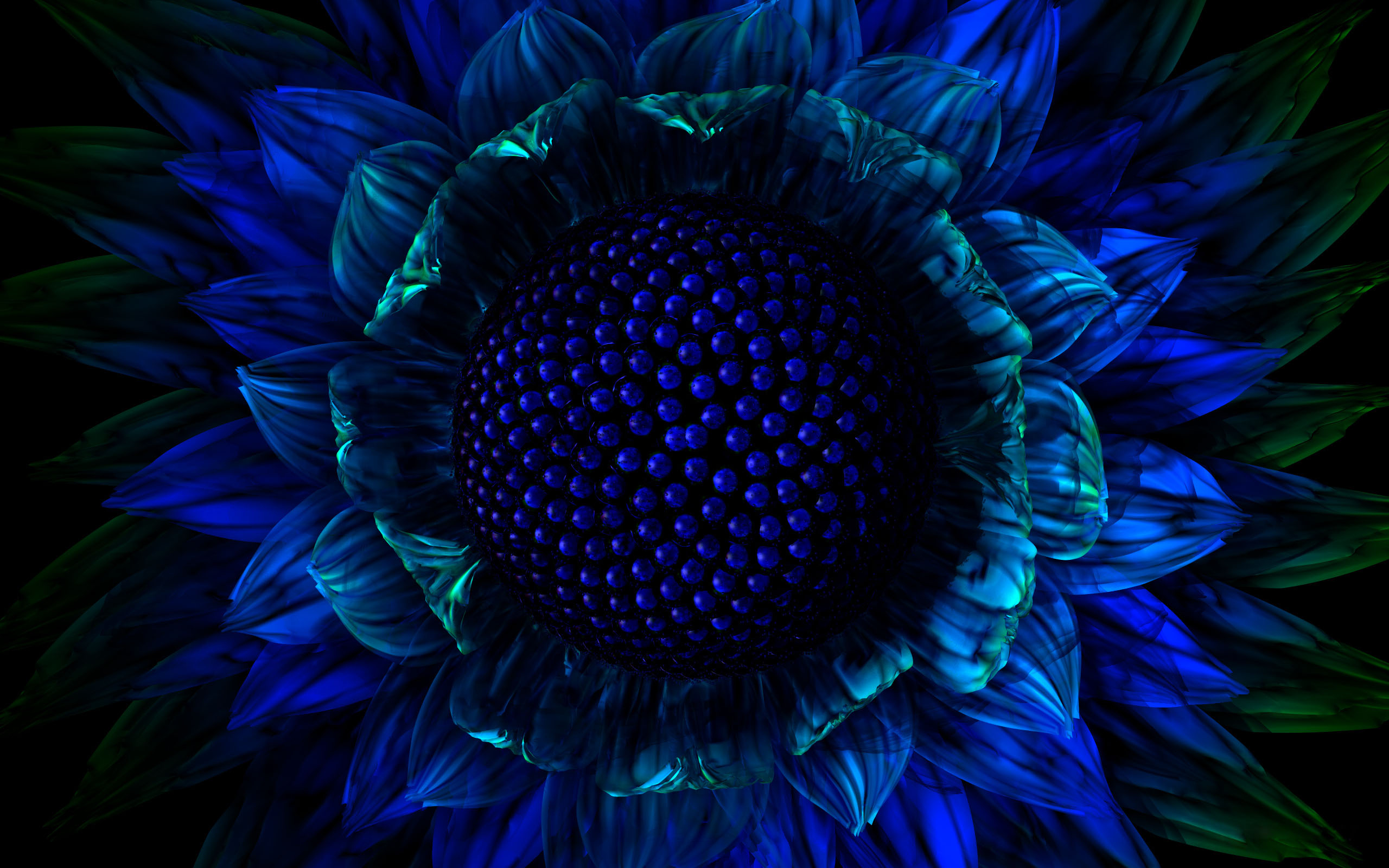 exotic-flower-wallpaper-2560x1600.jpg