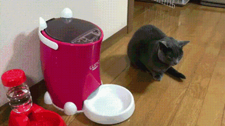 123.gif