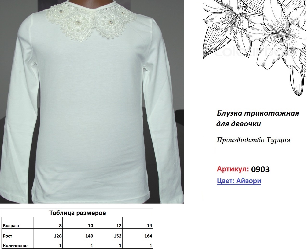 0903 Айвори.JPG