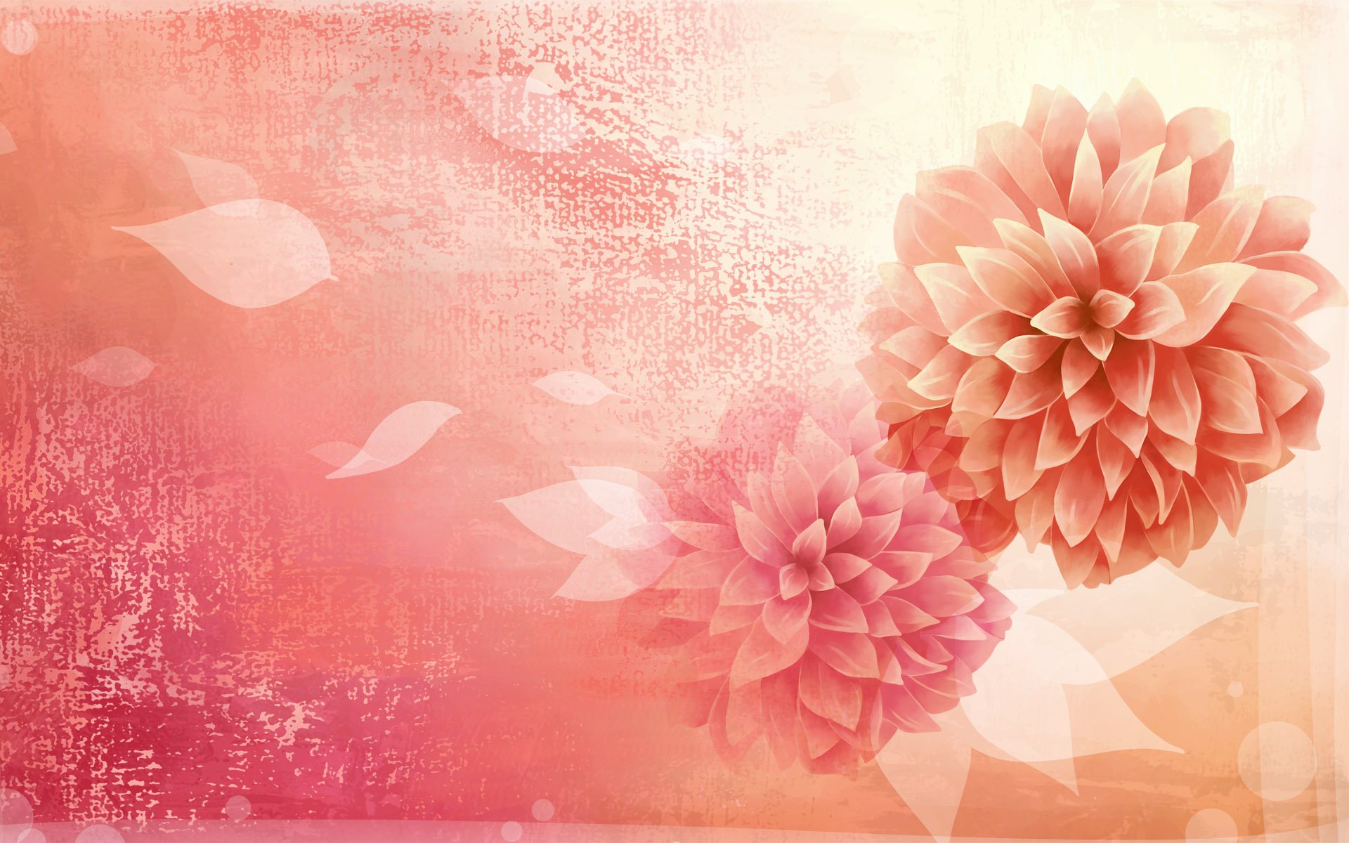 flowers-flower-definition-bright-synthesis-high-wallpaper-synthetic.jpg