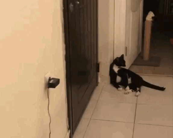 TOPGIF.gif