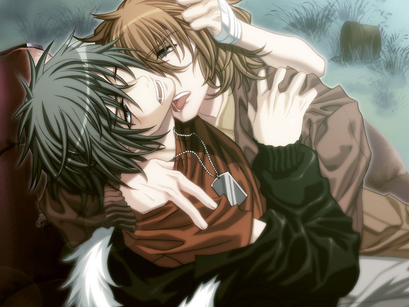 Togainu_no_Chi_VN_036.jpg