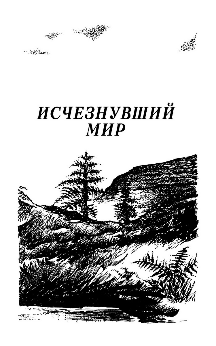 Исчезнувший мир книга. Аугуста исчезнувший мир. Исчезнувший мир обложка. Исчезнувший мир обложка книги.